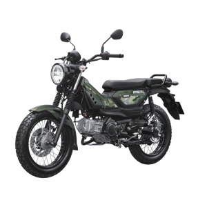 XE SỐ YAMAHA PG-1